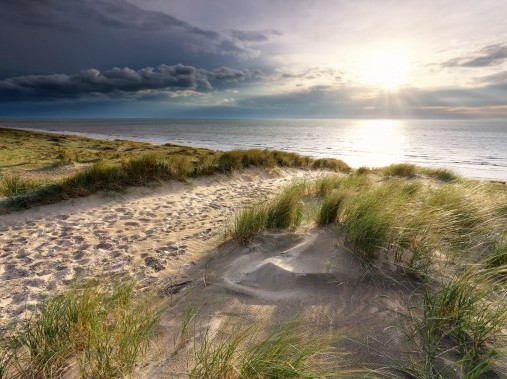 Familienfreundliche Ferienwohnungen in den Niederlanden in der Nähe des Strandes