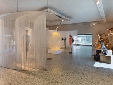 NationalPark_Zentrum