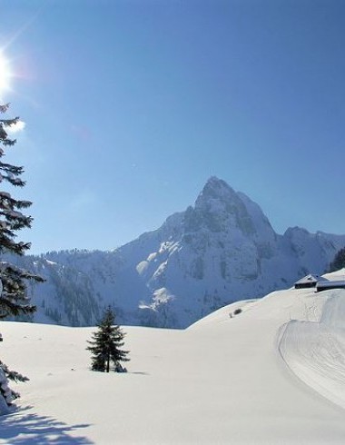 Winterimpressionen von Rougemont