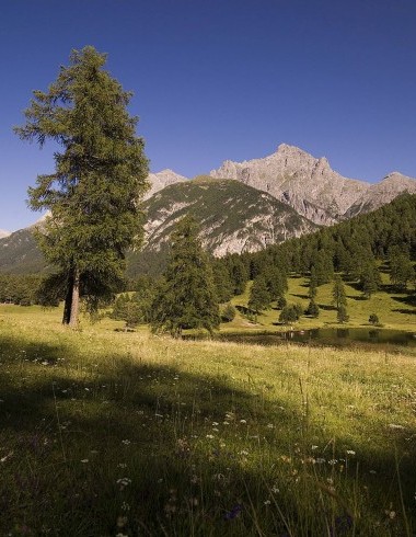 Landschaft in Scuol