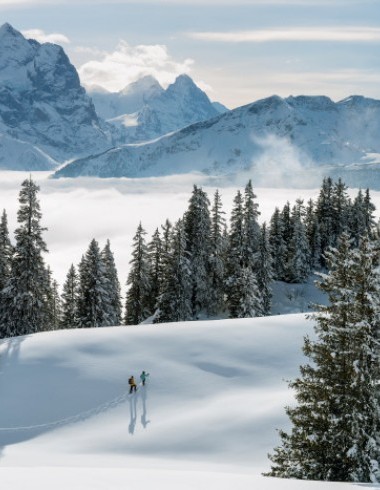 Schöne Aussicht auf Schneelandschaft