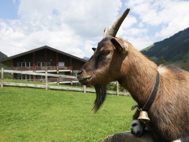 Lenk190614_043