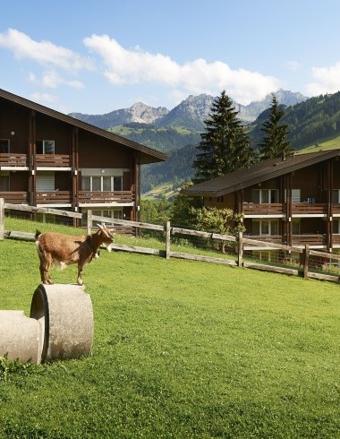 Ziege vor dem Reka-Feriendorf Lenk
