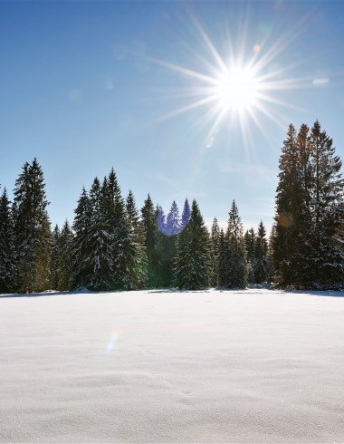 Schnee mit klarem Himmel