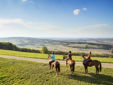 Drei Pferde und schöne Aussicht