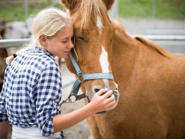 2_Pferdepflege_Erlebnishof_002 - Kopie