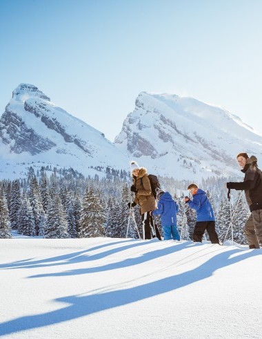 4 Leute auf Schneewanderung
