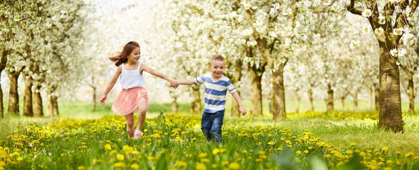 Kinder laufen in Wiese voller Ferkelkraut