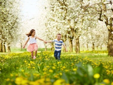 Kinder laufen in Wiese voller Ferkelkraut
