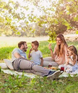 Gemeinsames Picknick