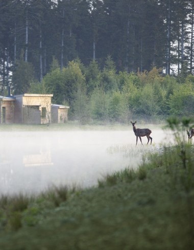 Center Parcs, Domaine Les Trois Forêts: au cœur des forêts de la Moselle