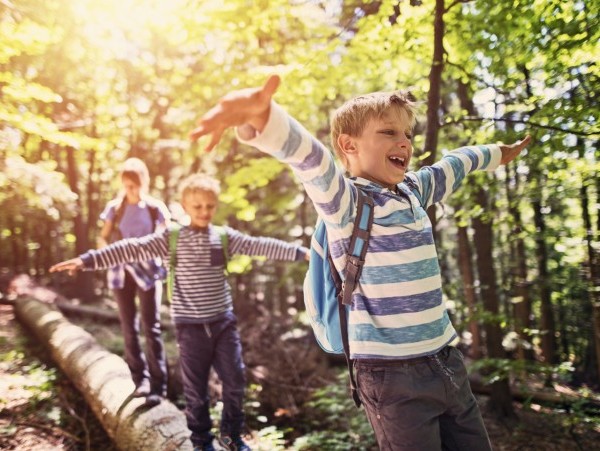 Kinder balancieren über Baumstamm