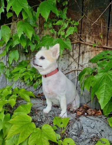 6c15411f-abe3-4376-a382-2ed77b9a18b0