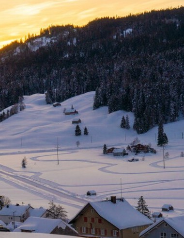 Hundelopie Munzenried