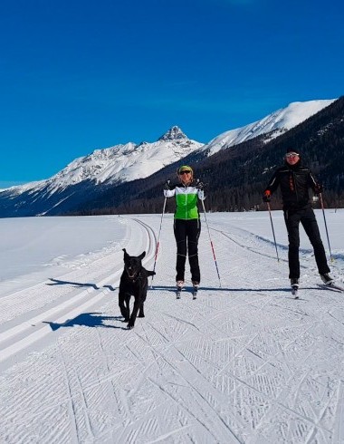 Ski de fond avec chien