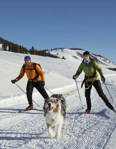 Paar mit Hund Langlauf