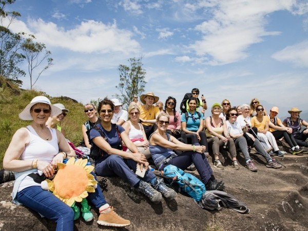 Firmengruppe Reise mit Sonnenblumen Stoff