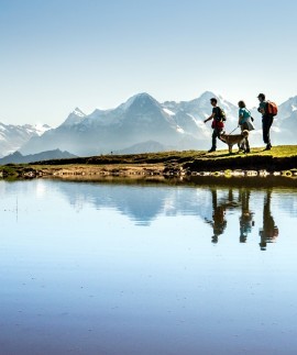 Reka-Wanderferien-Schweiz-Berner-Oberland_iS_23_1