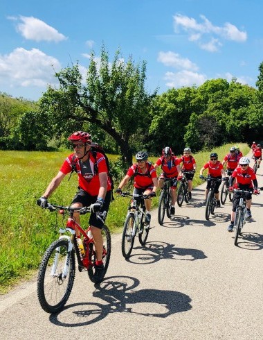 Fahrradfahrer auf Weg zwischen Wiese