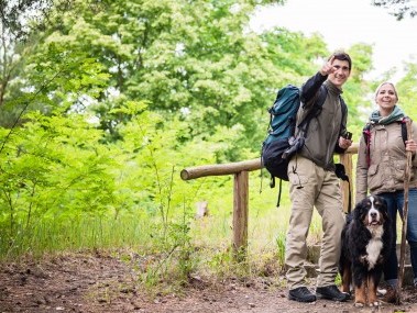 Paar mit Hund im Wald