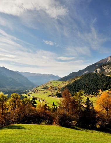 ST_3x2_Parc-Ela-Natural-Park-Albula-Valley_15489