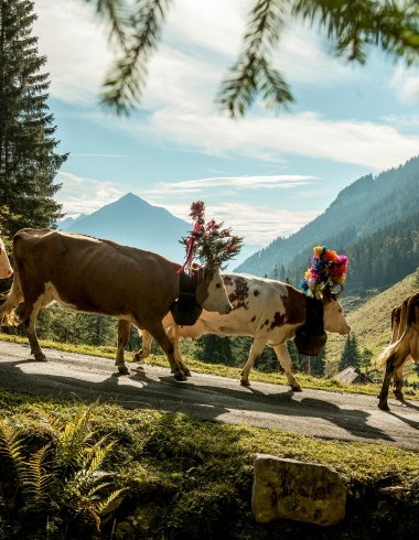 ST_3x2_Spycherberg-Alpabzug_23143