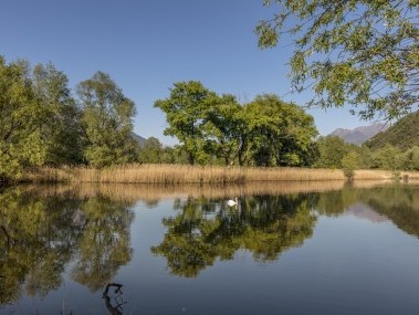 bolle-di-magadino-gambarogno-2-c-ascona-locarno-tourism-foto-alessio-pizzicannella-medium