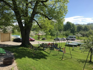 Erlebnishof Spielplatz bild