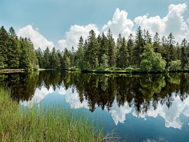 ST_3x2_Doubs-Natural-Park-Etang-de-la-Gruere_13454