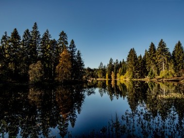 ST_3x2_Saignelegier-Etang-de-la-Gruere_42569