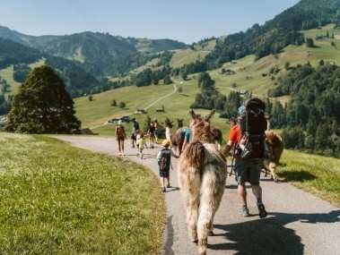 csm_Sommer_Lama-Trekking_Fluehli_Laila_Bosco__34__d9046df94c