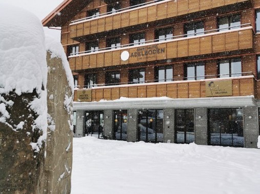 Apart Hotel Adelboden