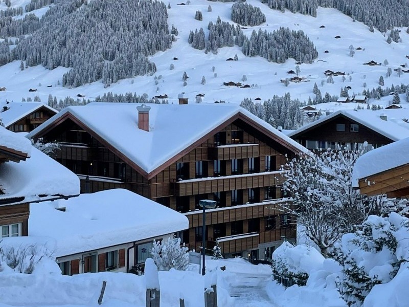 Apart Hotel Adelboden