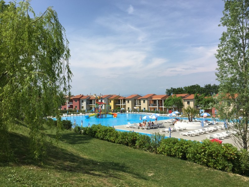 Pool landscape - Belvedere Village