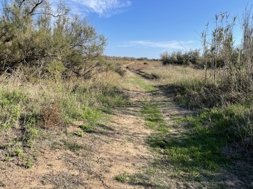Chemin vers la plage - Campingvillage / Residence Les Mûriers