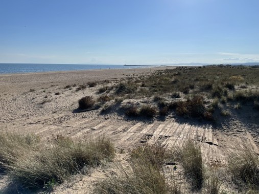 Plage - Campingvillage / Residence Les Mûriers