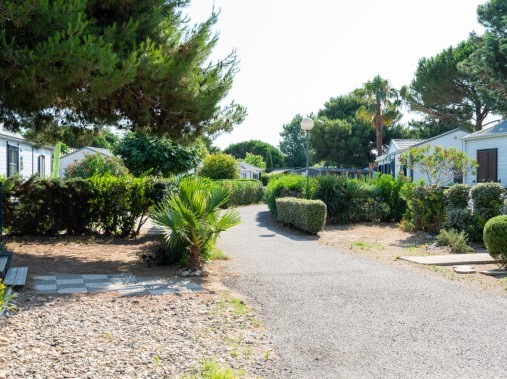 Vue extérieure des appartements de vacances - Campingvillage / Residence Les Mûriers