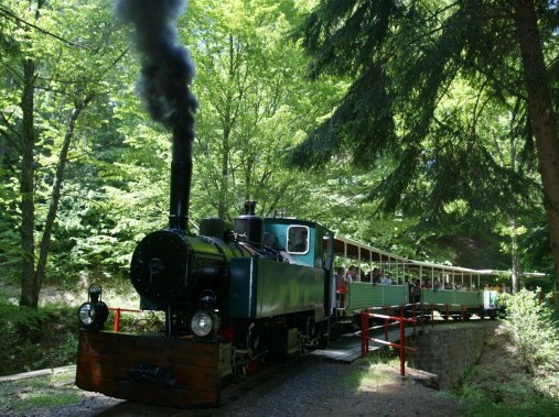 Activités de loisirs - Center Parcs Les Trois Forêts