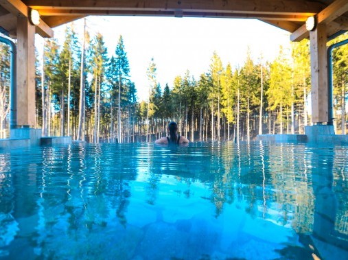 Spa - Center Parcs Park Allgäu