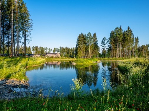 Parc - Center Parcs Park Allgäu