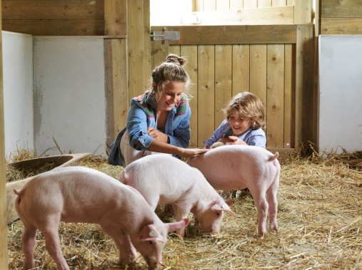 Center Parcs - Parc Bostalsee