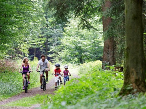 Center Parcs - Parc Bostalsee