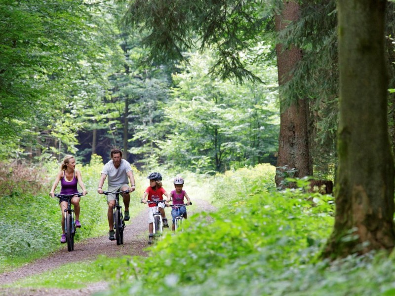 Center Parcs - Park Bostalsee