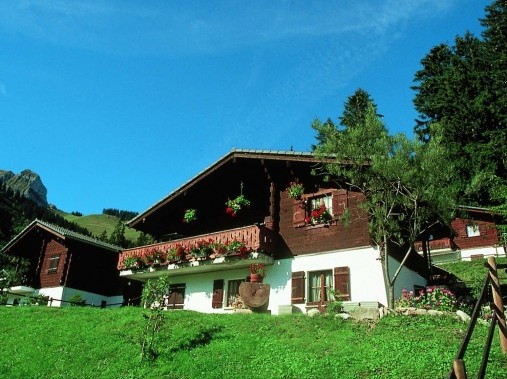 Vue extérieure en été - Chalets Moléson