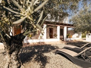 Terrasse / Aussenbereich - Cortijo Rosas Cantares