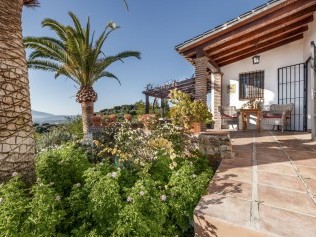 Terrasse / Aussenbereich - Cortijo Rosas Cantares