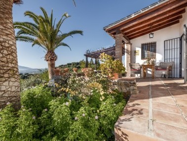 Terrasse / Aussenbereich - Cortijo Rosas Cantares