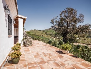 Terrasse / Aussenbereich - Cortijo Rosas Cantares