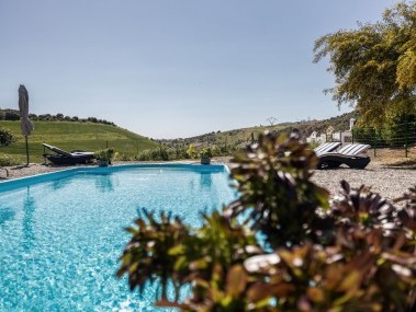 Gemeinschaftspool - Cortijo Rosas Cantares