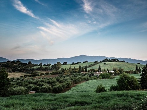 Cortijo Rosas Cantares